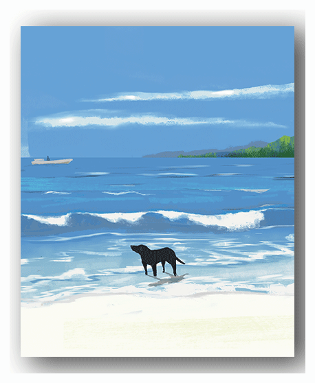 NC017 Early Summer - Kyoko Nemoto