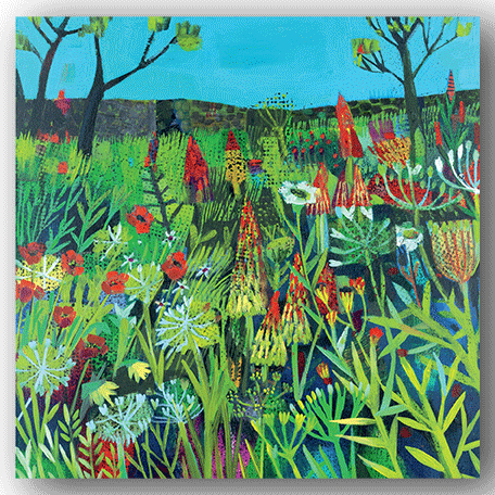 NC029 Red Hot Pokers - Este MacLeod