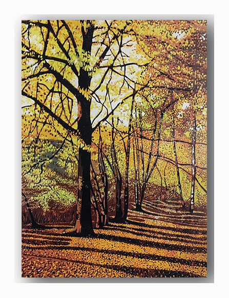 NC051 Shropshire Woodland - Hazel McNab