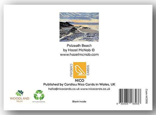 NC056 - Polzeath - Hazel McNab