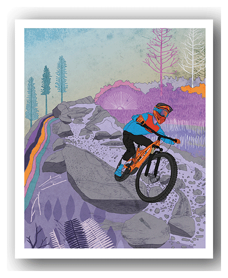 NC068 Coed y Brenin - David Broadbent