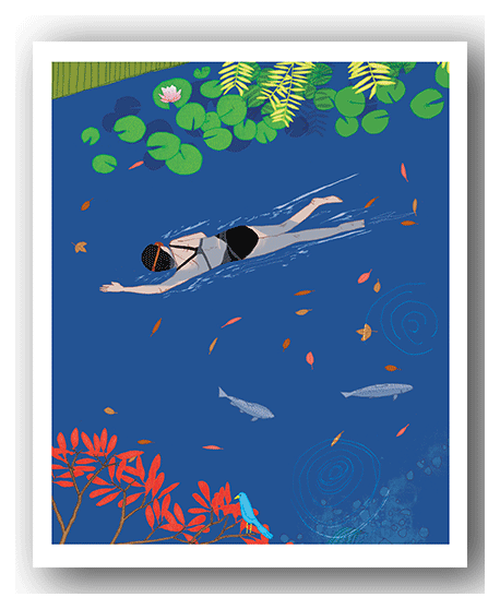 NC071 Go Wild - David Broadbent