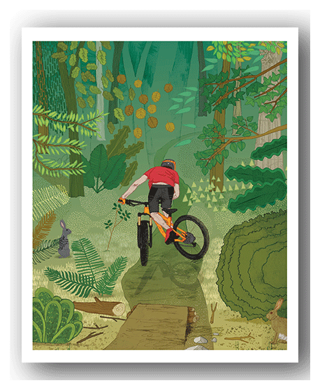 NC080 Woods - David Broadbent