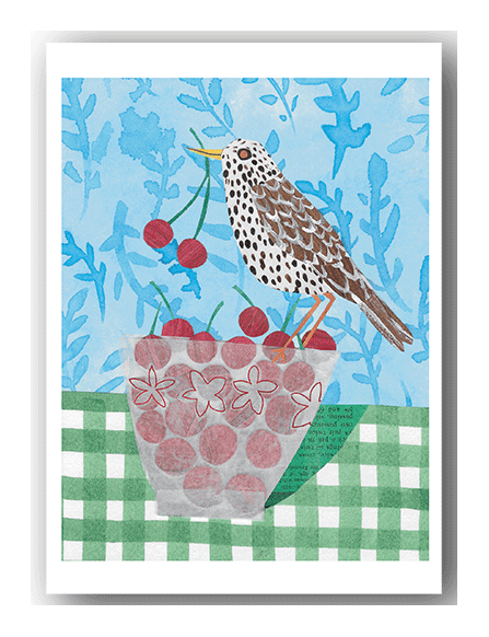 NC352 The Cherry Thief - Gillian Ferguson