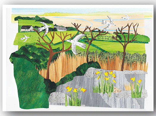 NC353 View from the Pepperpot - Gillian Ferguson