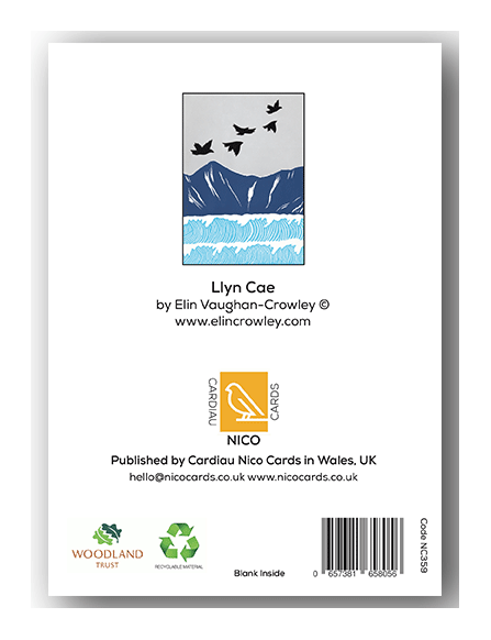 NC359 Llyn Cae - Elin Vaughan-Crowley