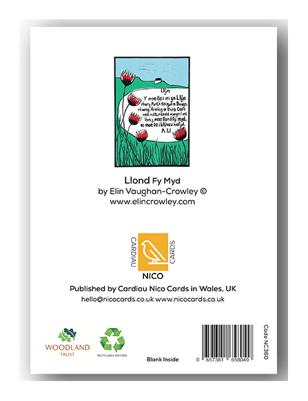 NC360 Llond Fy Myd - Elin Vaughan-Crowley