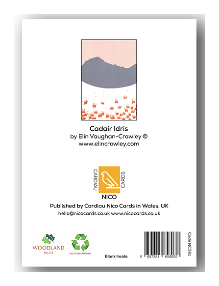 NC361 Cadair Idris - Elin Vaughan-Crowley