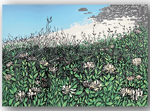 NC365 - Honeysuckle - Hazel McNab