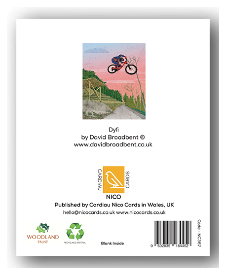 NC367 Dyfi - David Broadbent