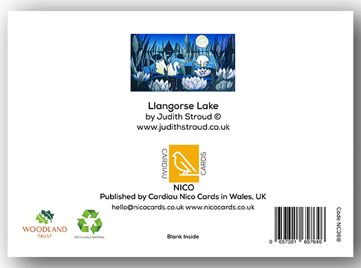 NC368 Llangorse Lake - Judith Stroud