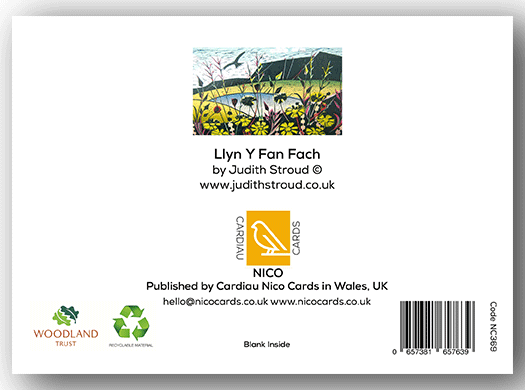 NC369 Llyn y Fan Fach - Judith Stroud