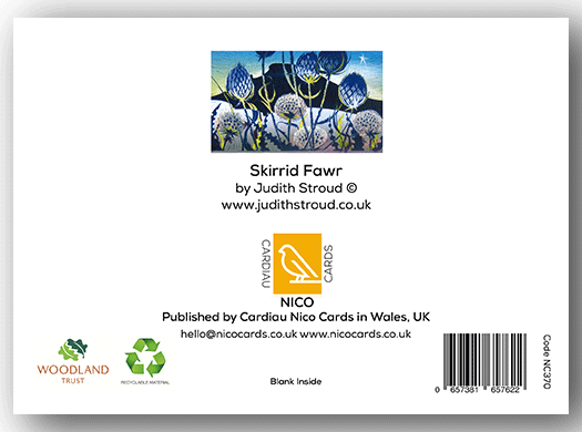 NC370 Skirrid Fawr - Judith Stroud