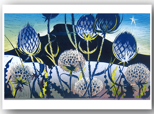 NC370 Skirrid Fawr - Judith Stroud