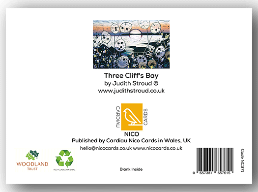 NC371 Three Cliff's Bay - Judith Stroud