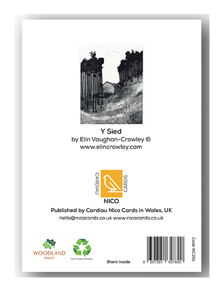 NC391 Y Sied - Elin Vaughan-Crowley