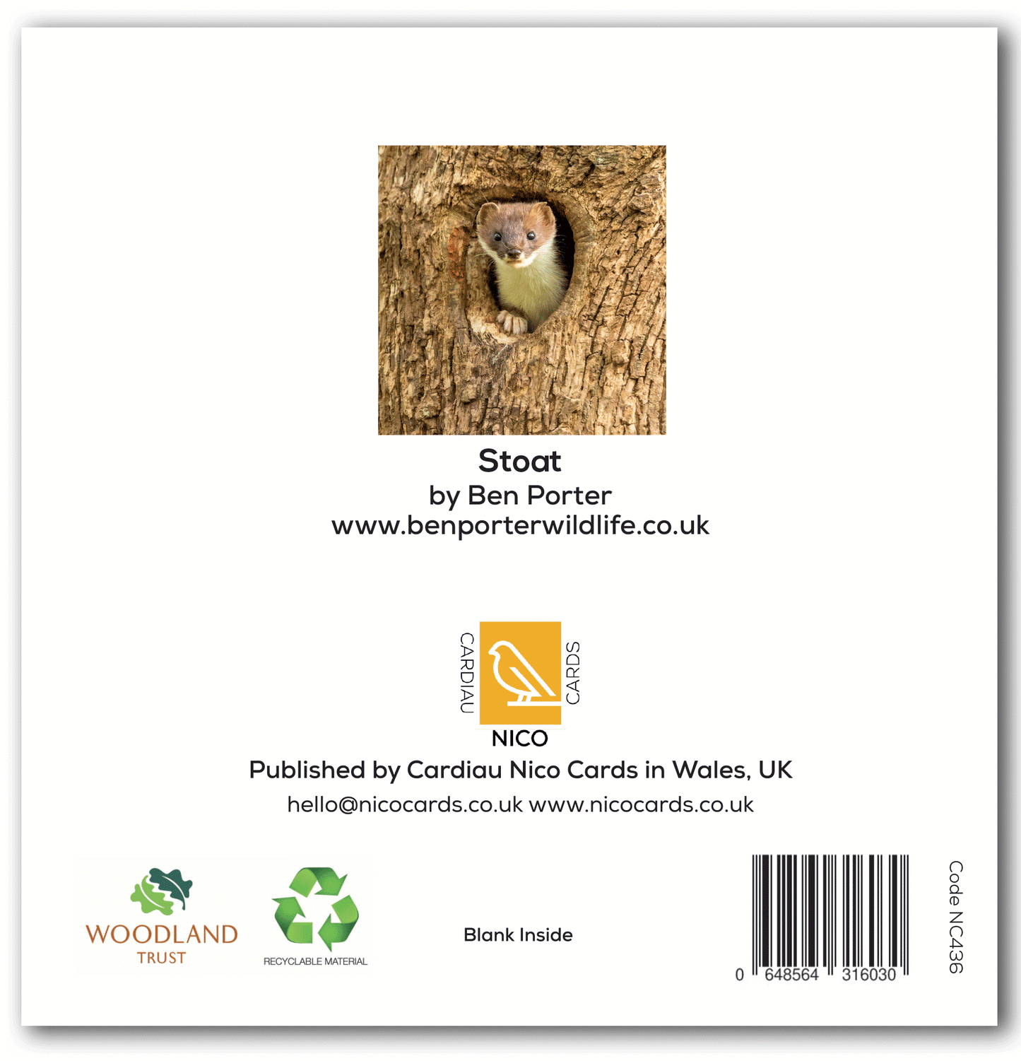 NC436 Stoat - Ben Porter