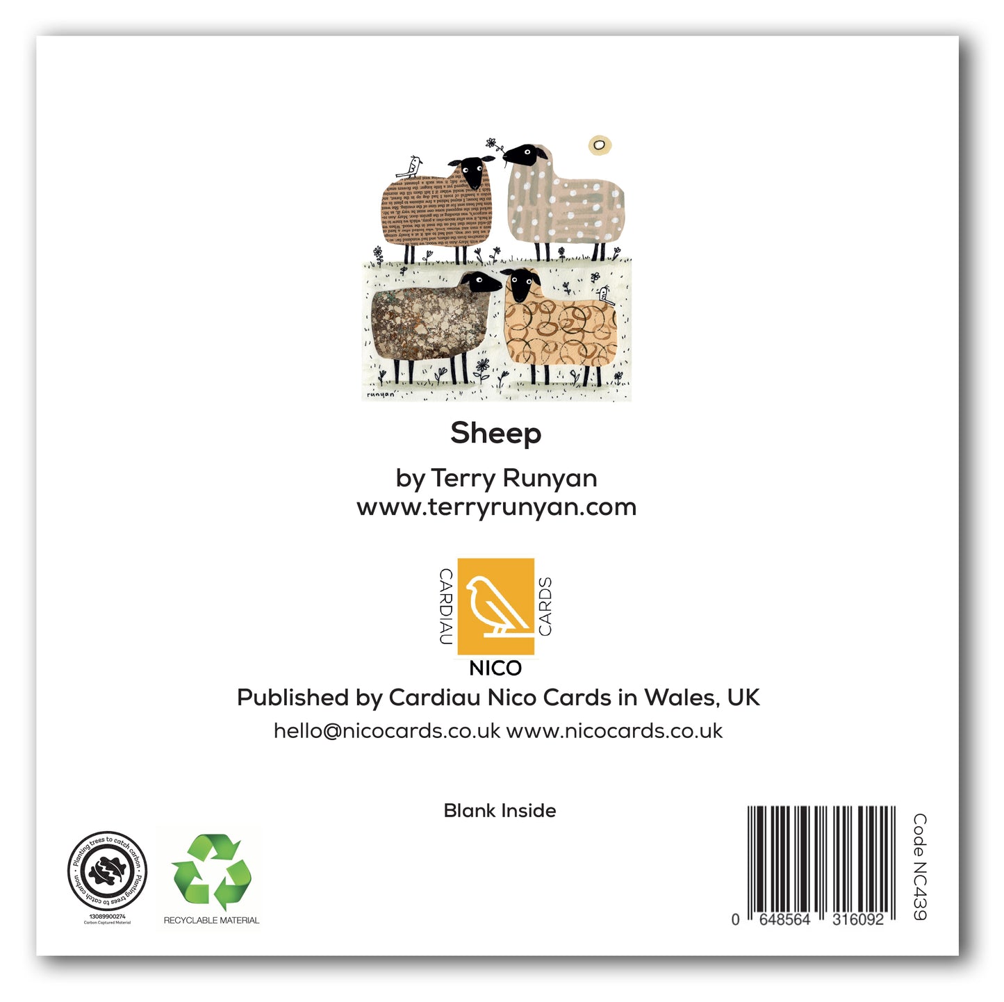 NC439 Sheep - Terry Runyan