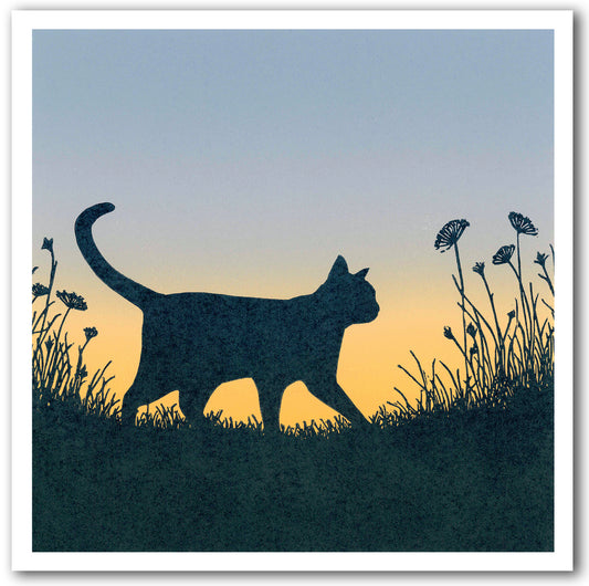 NC469 Prowl - Megan Hall