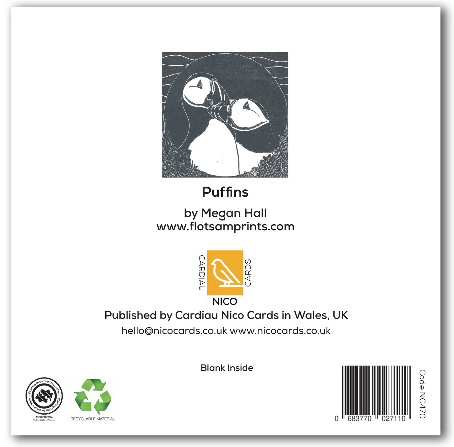 NC470 Puffins - Megan Hall