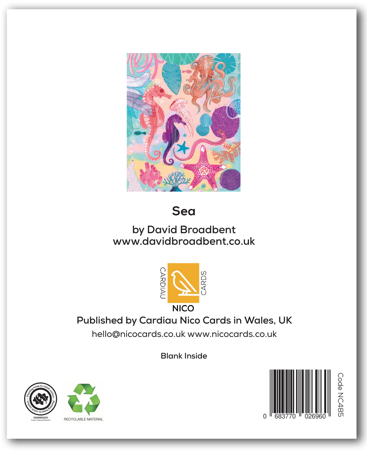 NC485 Sea - David Broadbent