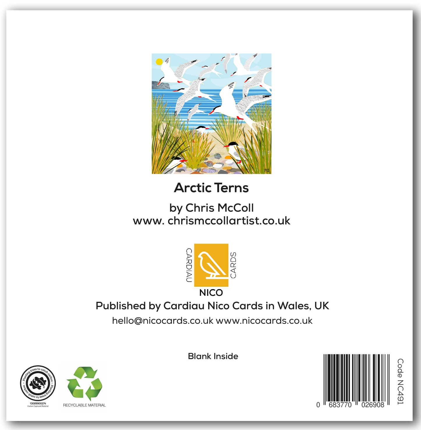 NC491 Arctic Terns - Chris McColl