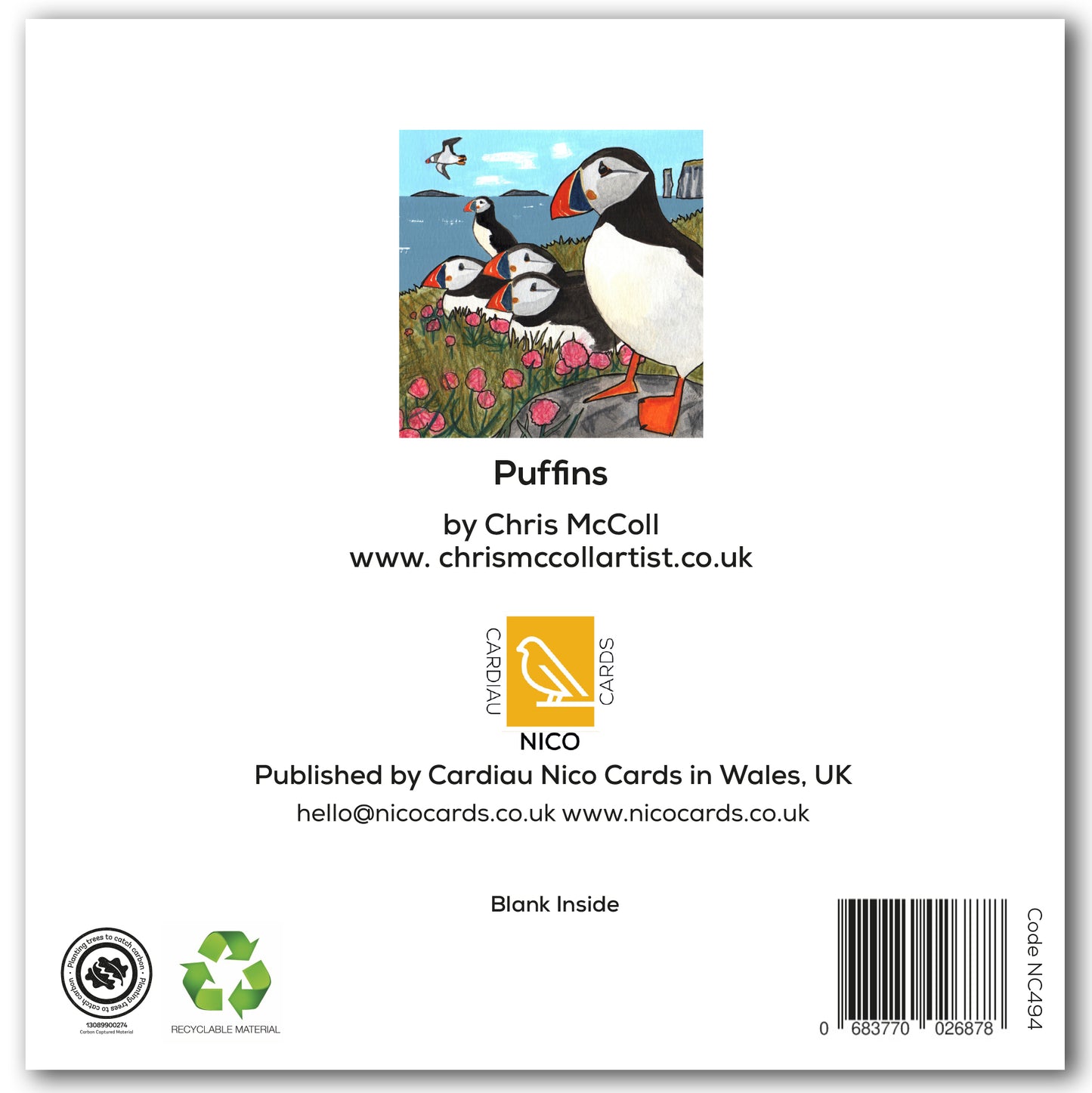 NC494 Puffins - Chris McColl