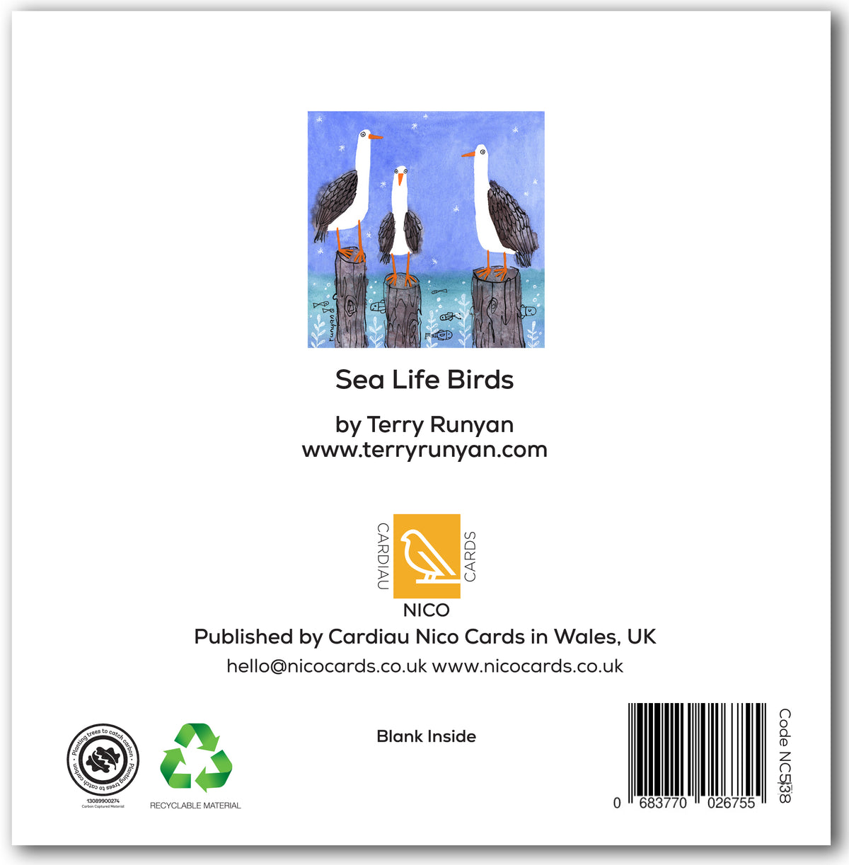 NC538 Sea Life Birds - Terry Runyan