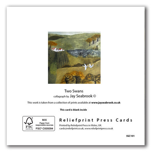 IGC101 Two Swans - Jay Seabrook