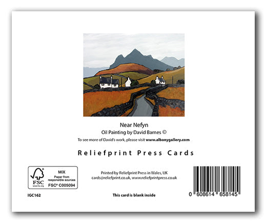 IGC162 Near Nefyn - David Barnes