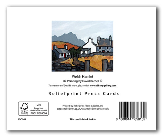 IGC163 Welsh Hamlet - David Barnes