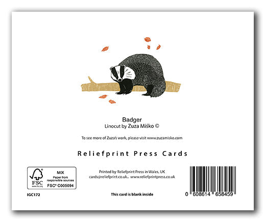 IGC172 Badger - Zuza Misko