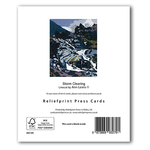 IGC181 Storm Clearing Rhaeadr Ogwen - Ann Lewis