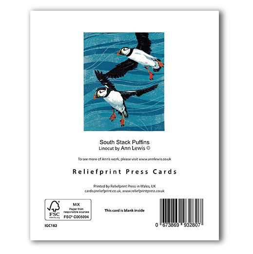 IGC182 South Stack Puffins - Ann Lewis