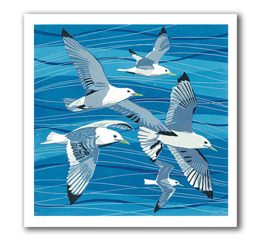 IGC183 Soaring Kittiwakes - Ann Lewis