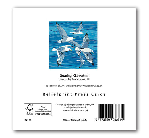 IGC183 Soaring Kittiwakes - Ann Lewis