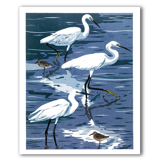 IGC186 Egrets & Dunlin - Ann Lewis