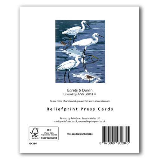 IGC186 Egrets & Dunlin - Ann Lewis