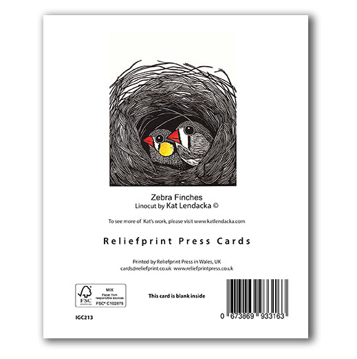 IGC213 Zebra Finches - Kat Lendacka