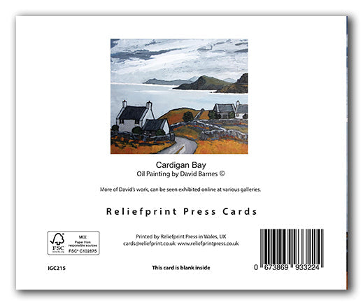 IGC215 Cardigan Bay - David Barnes