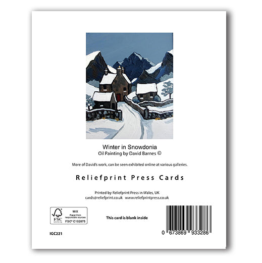 IGC221 Winter in Snowdonia - David Barnes