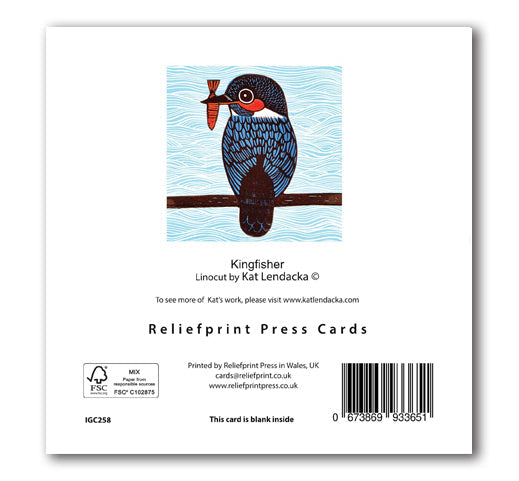 IGC258 Kingfisher - Kat Lendacka