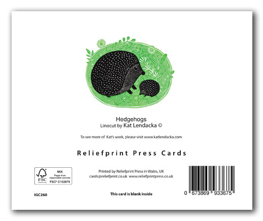 IGC260 Hedgehogs - Kat Lendacka