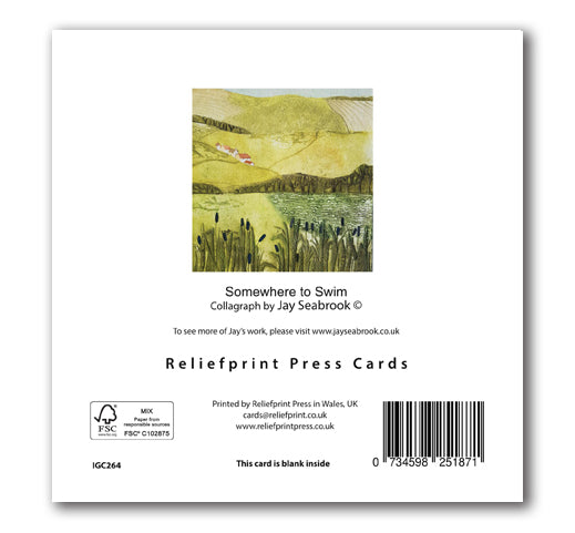 IGC264 Somewhere to Swim - Jay Seabrook