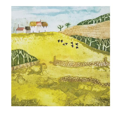 IGC265 Top Row - Jay Seabrook