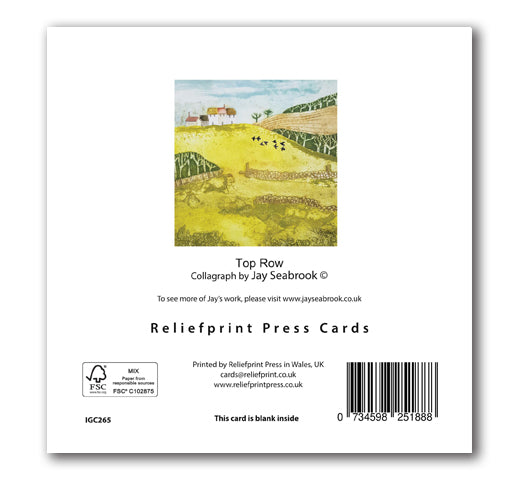 IGC265 Top Row - Jay Seabrook