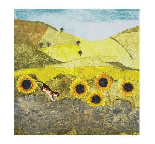 IGC266 Walking on Sunshine - Jay Seabrook