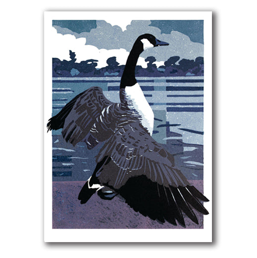 IGC267 Ellesmere Goose - Ann Lewis