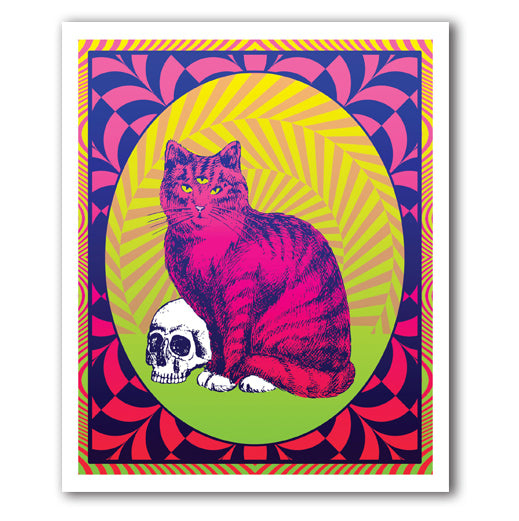 IGC271 Groovy Cat - Nate Duval