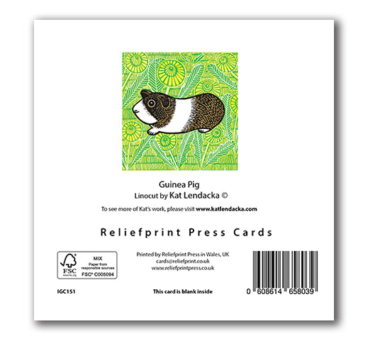 IGC151 Guinea Pig - Kat Lendacka